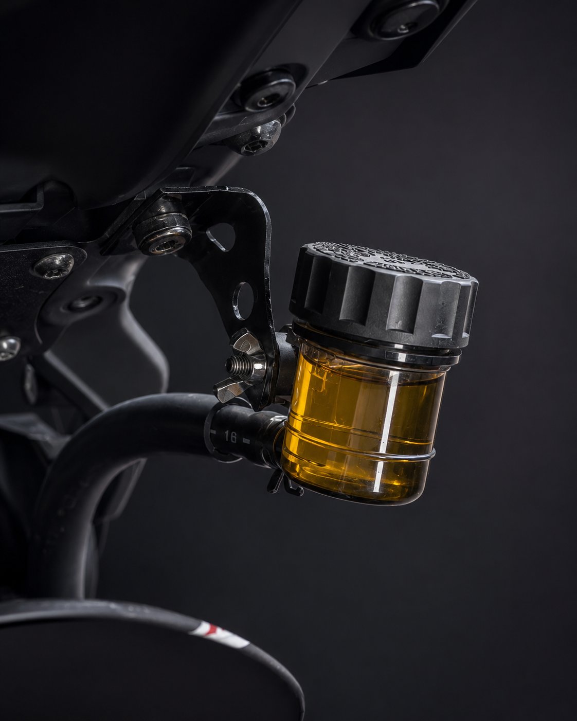 2024 MT-09 rear brake reservoir mounted on the Bracket Tree